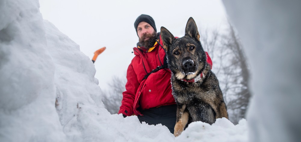 Холод, як виклик для простати