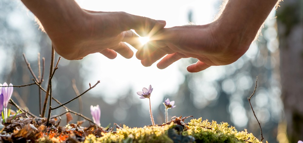 Весна, як екзамен для тіла. Чому загострюються хвороби?
