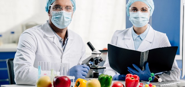 Роль ферментів для травлення і науковий досвід їх застосування