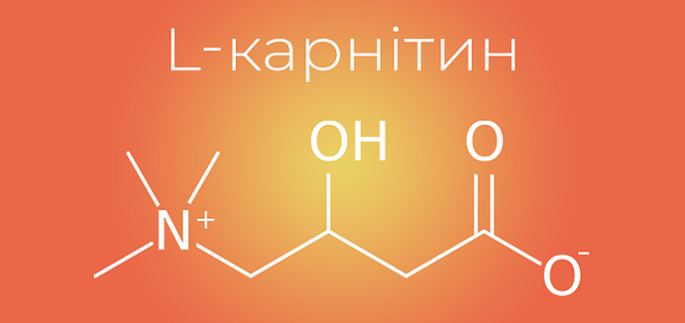 Що таке L-карнітин і як він впливає на організм? | Noveco Блог